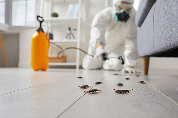 Commercial Kitchen Cockroach Control in Mary Esther